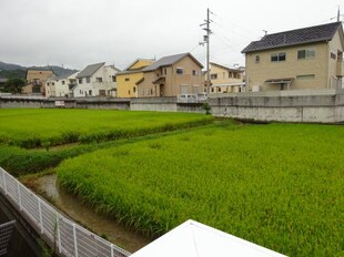 六十谷駅 徒歩12分 2階の物件内観写真